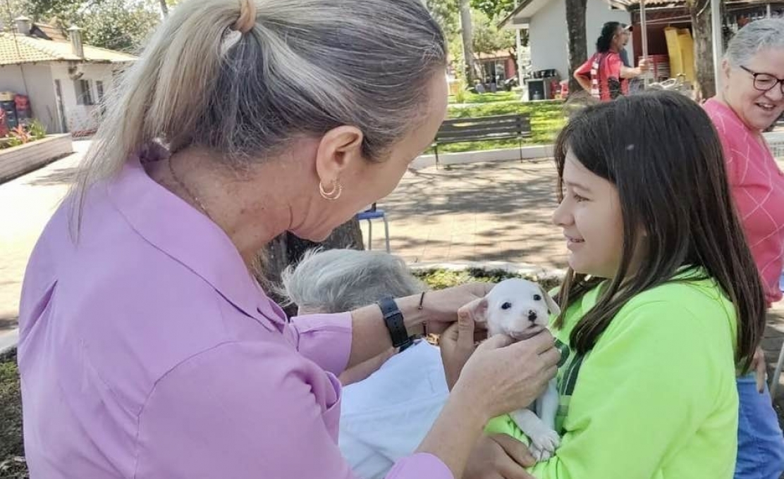 ANIMAIS GANHAM NOVO LAR EM FEIRA DE ADOÇÃO REALIZADA EM JAPURÁ