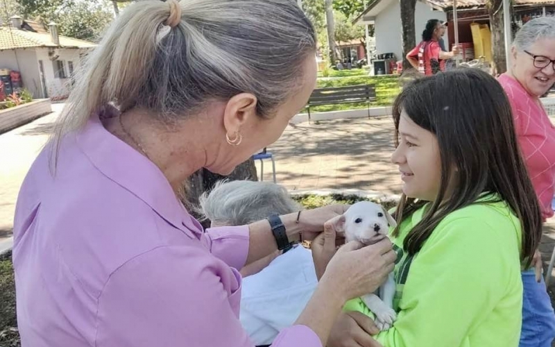 ANIMAIS GANHAM NOVO LAR EM FEIRA DE ADOÇÃO REALIZADA EM JAPURÁ