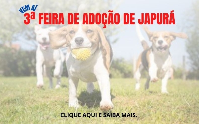 Terceira Feira de adoção de Animais